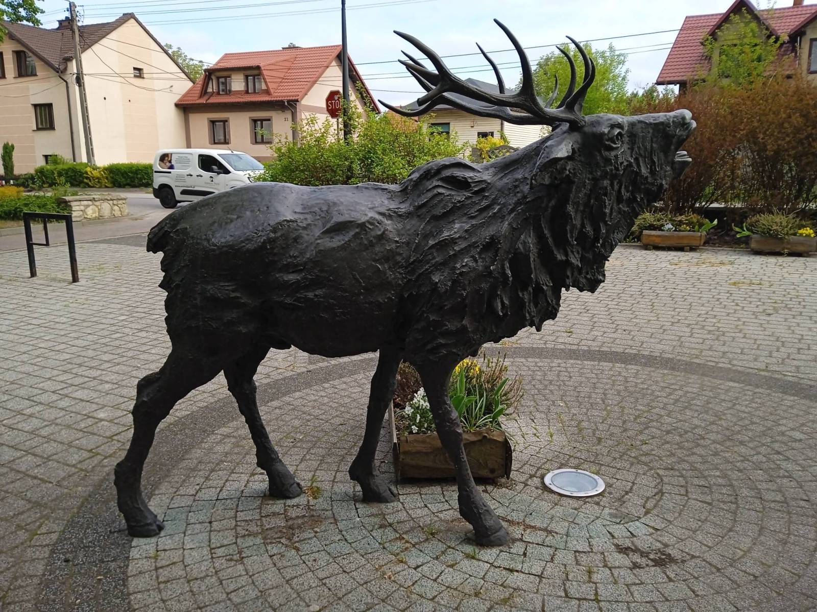 Zdjęcie 4