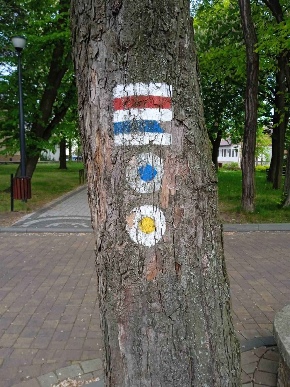 Zdjęcie 5