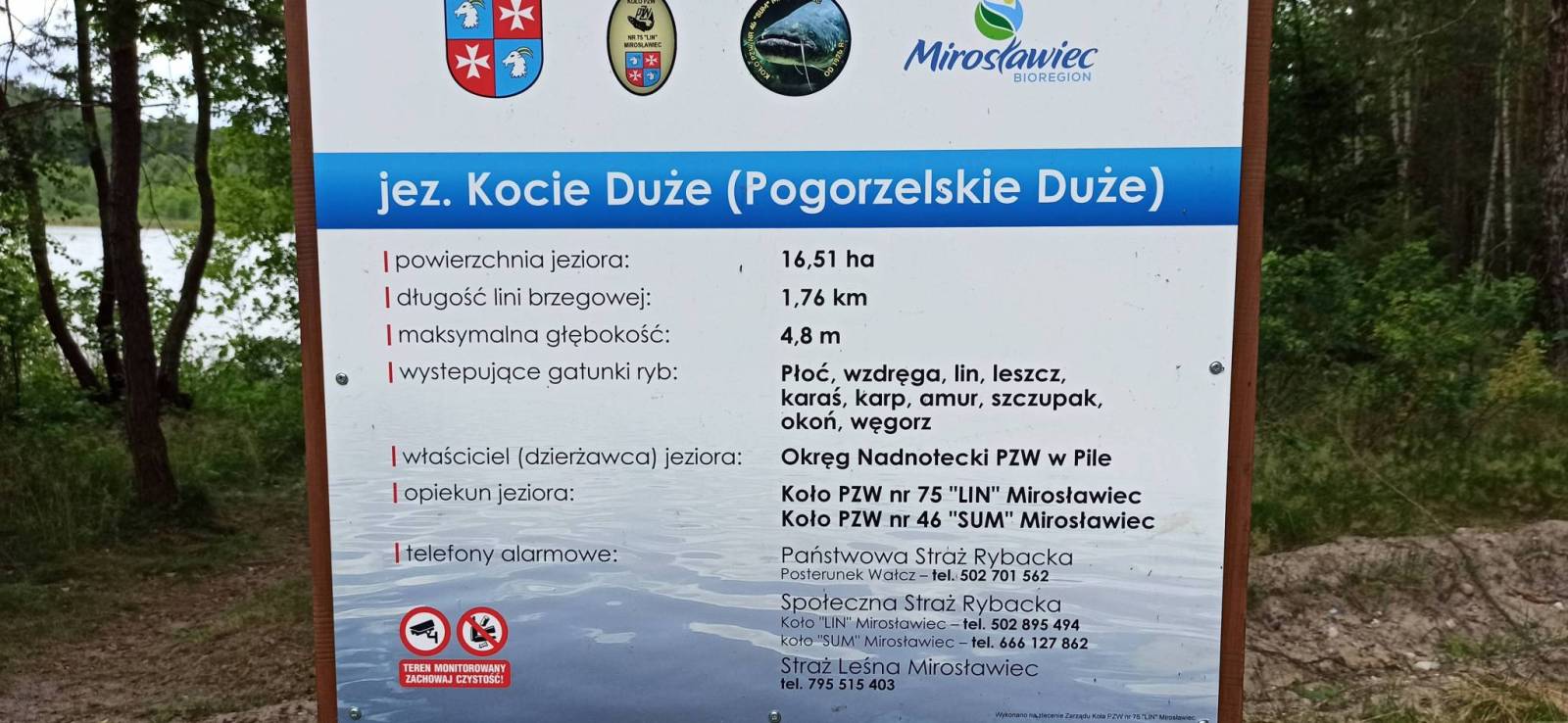 Zdjęcie 5