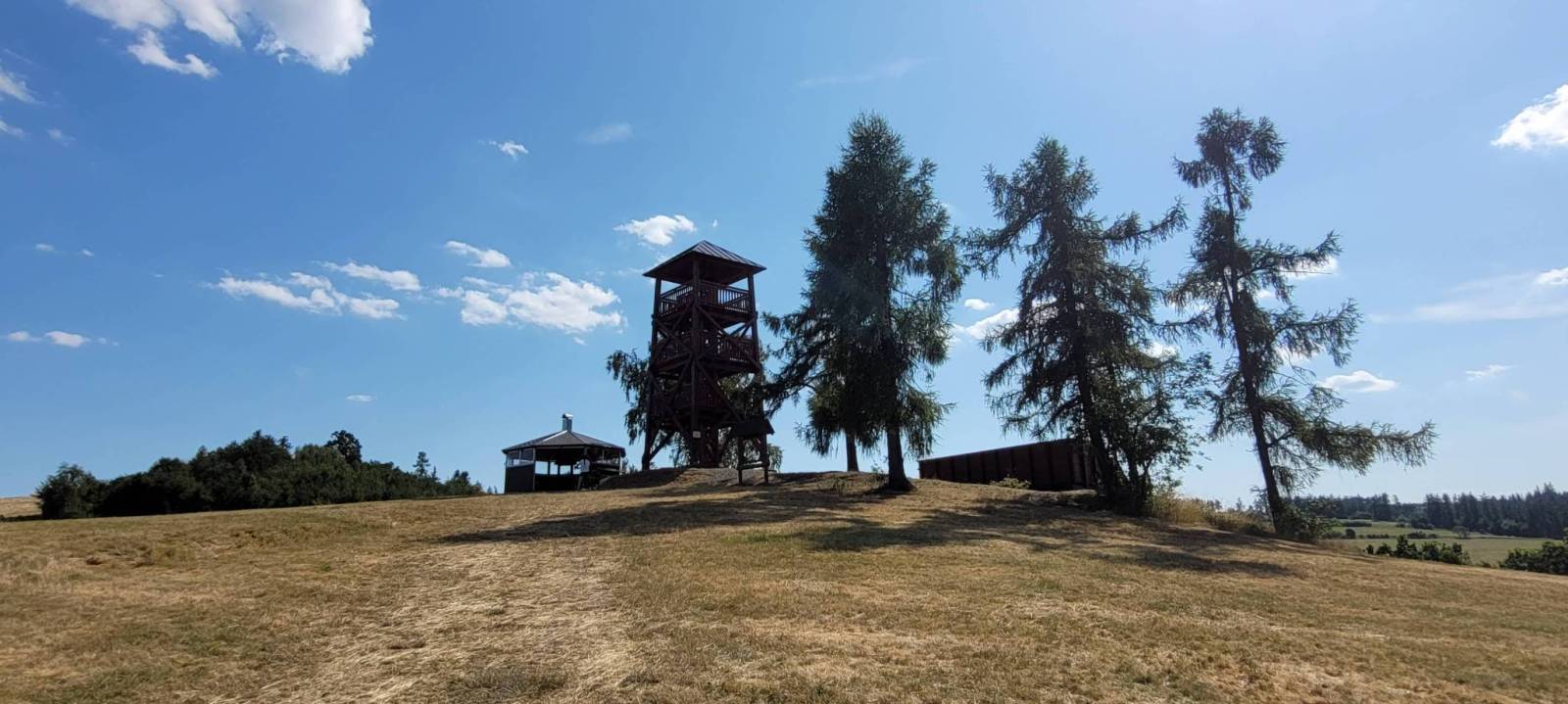 Zdjęcie 5