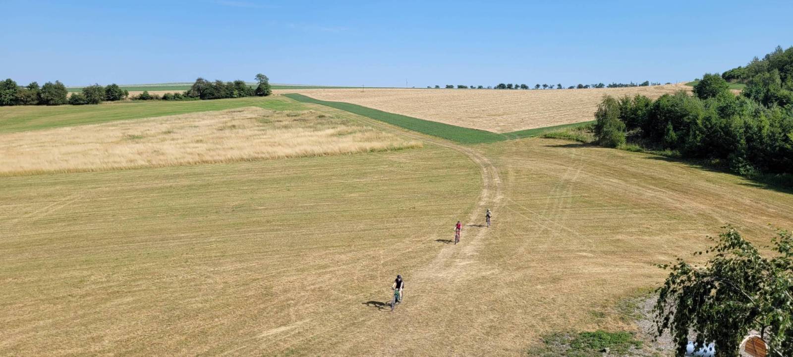 Zdjęcie 3