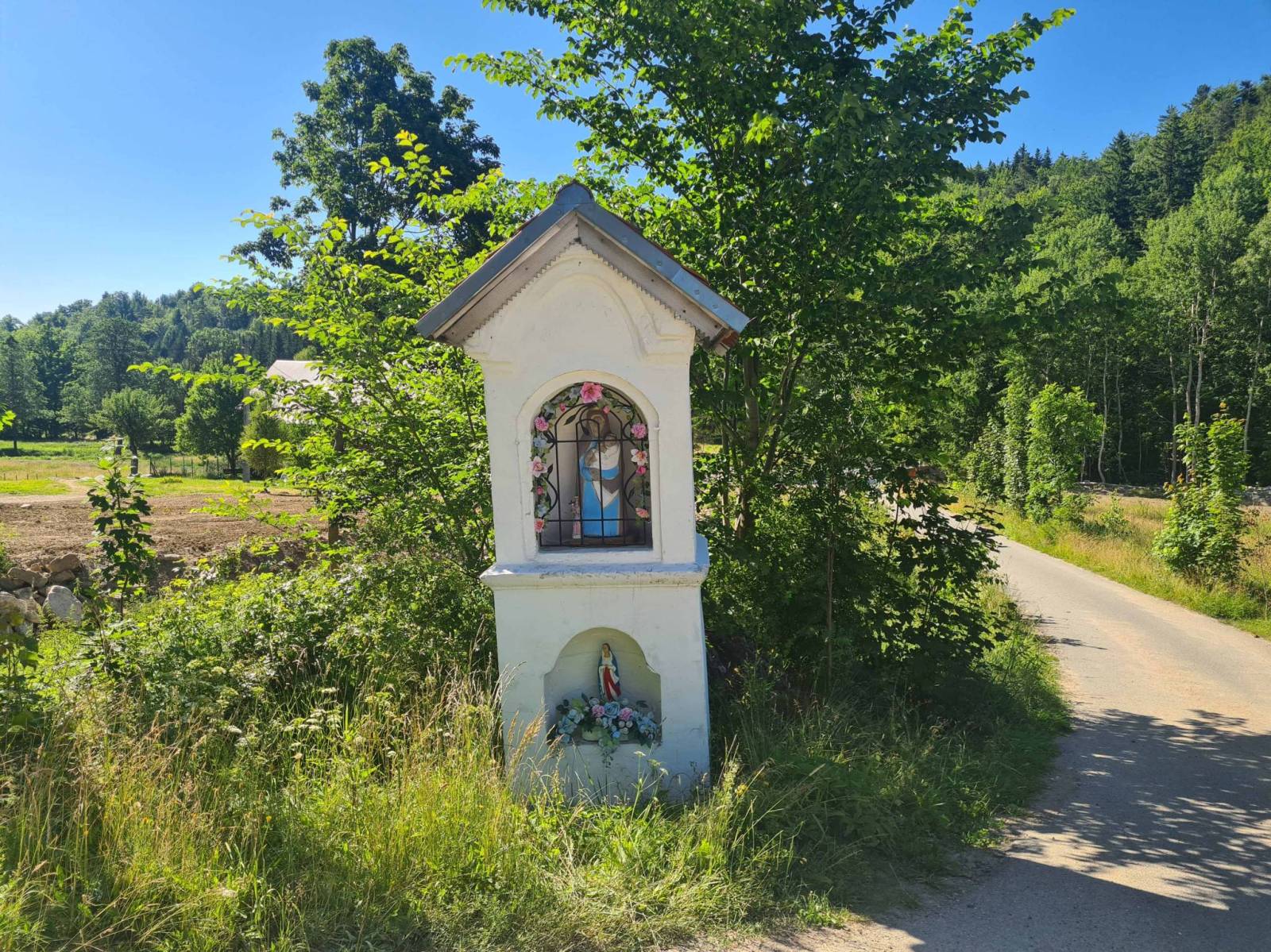 Zdjęcie 5
