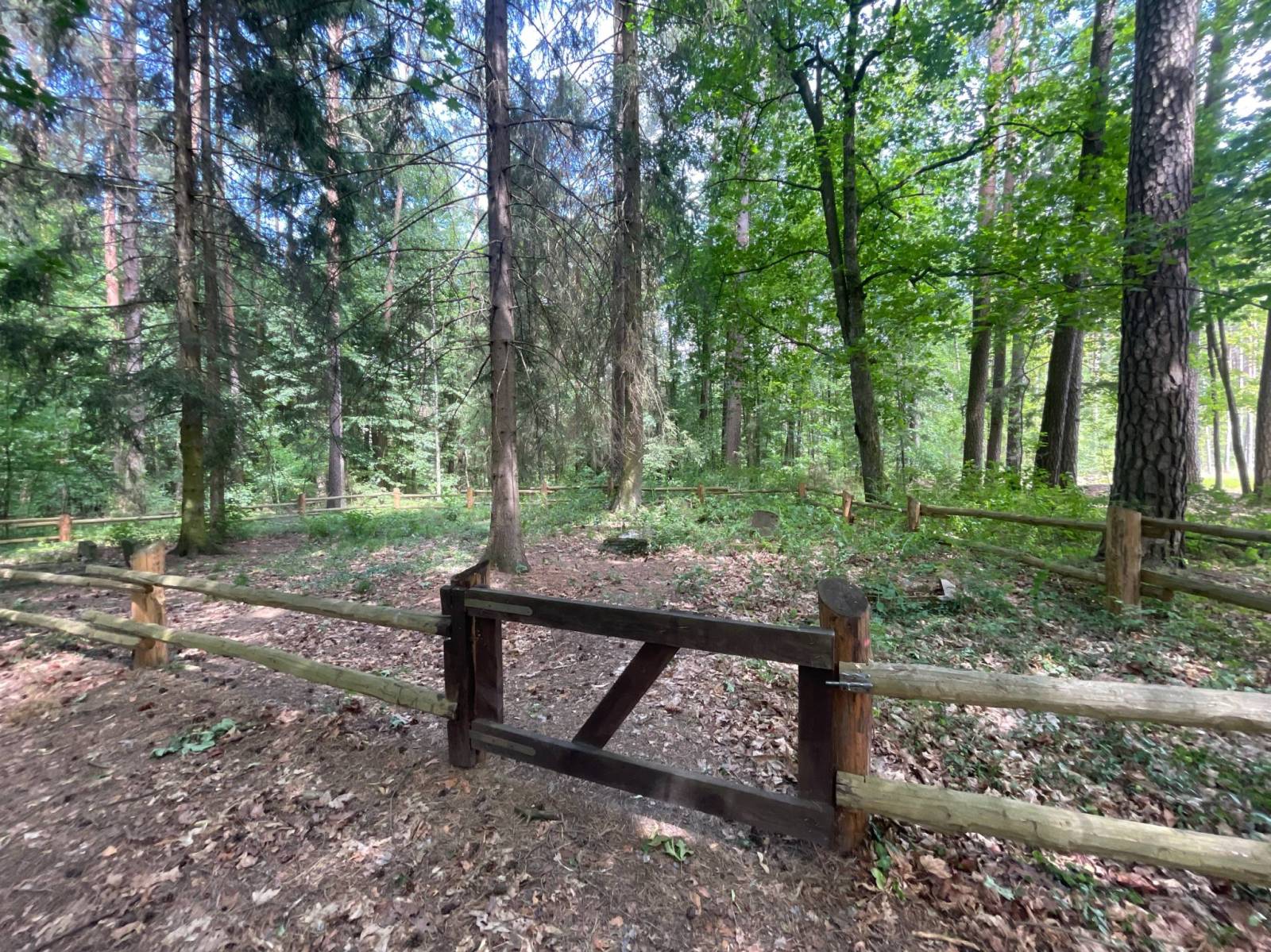 Zdjęcie 5