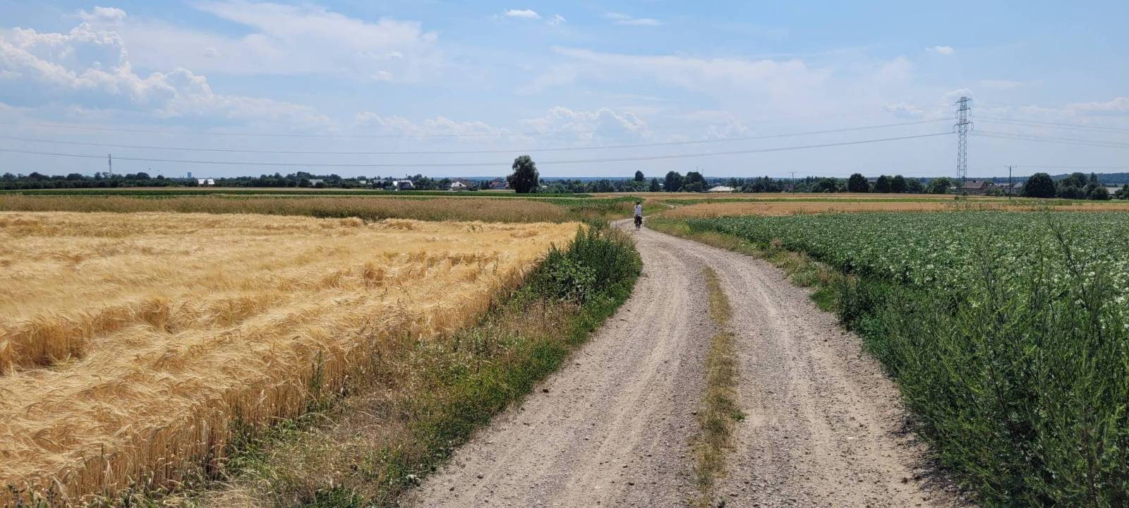 Zdjęcie 6