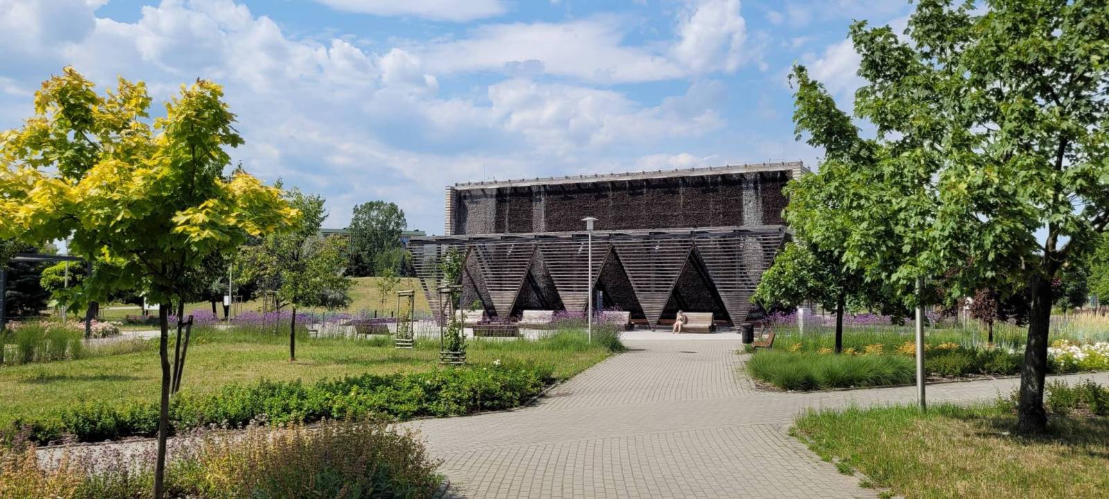 Zdjęcie 5
