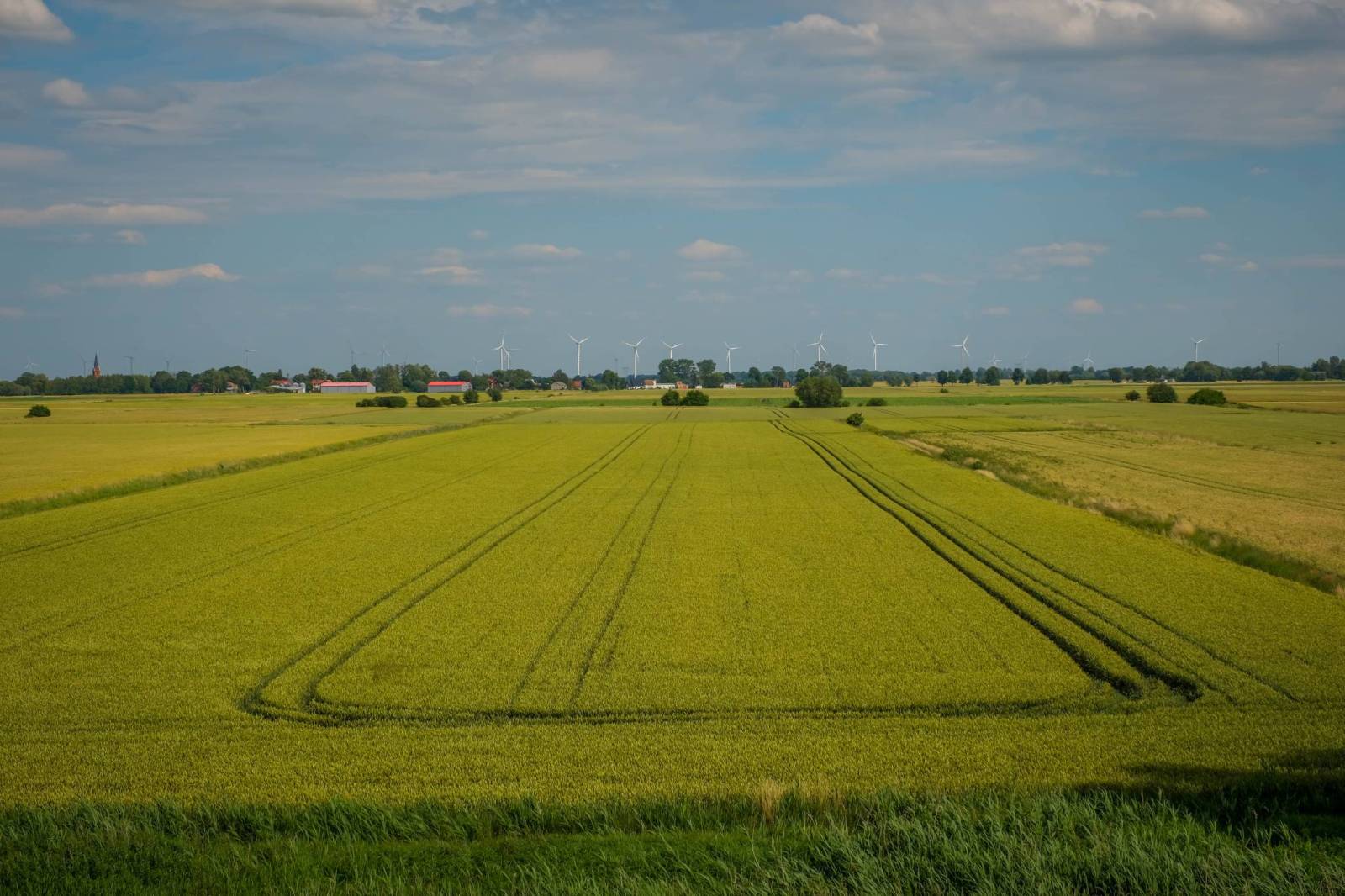 Zdjęcie 6