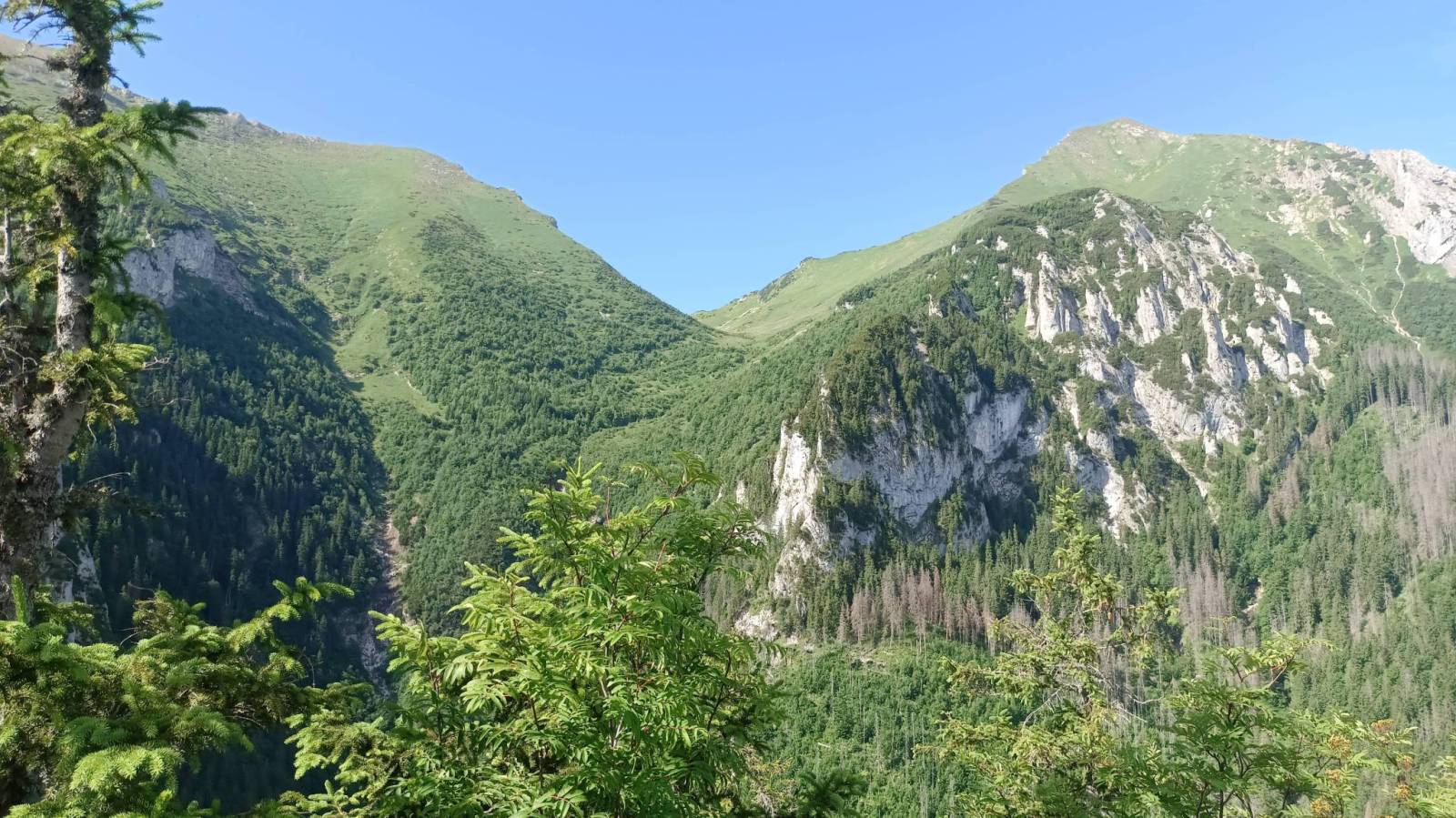 Zdjęcie 5