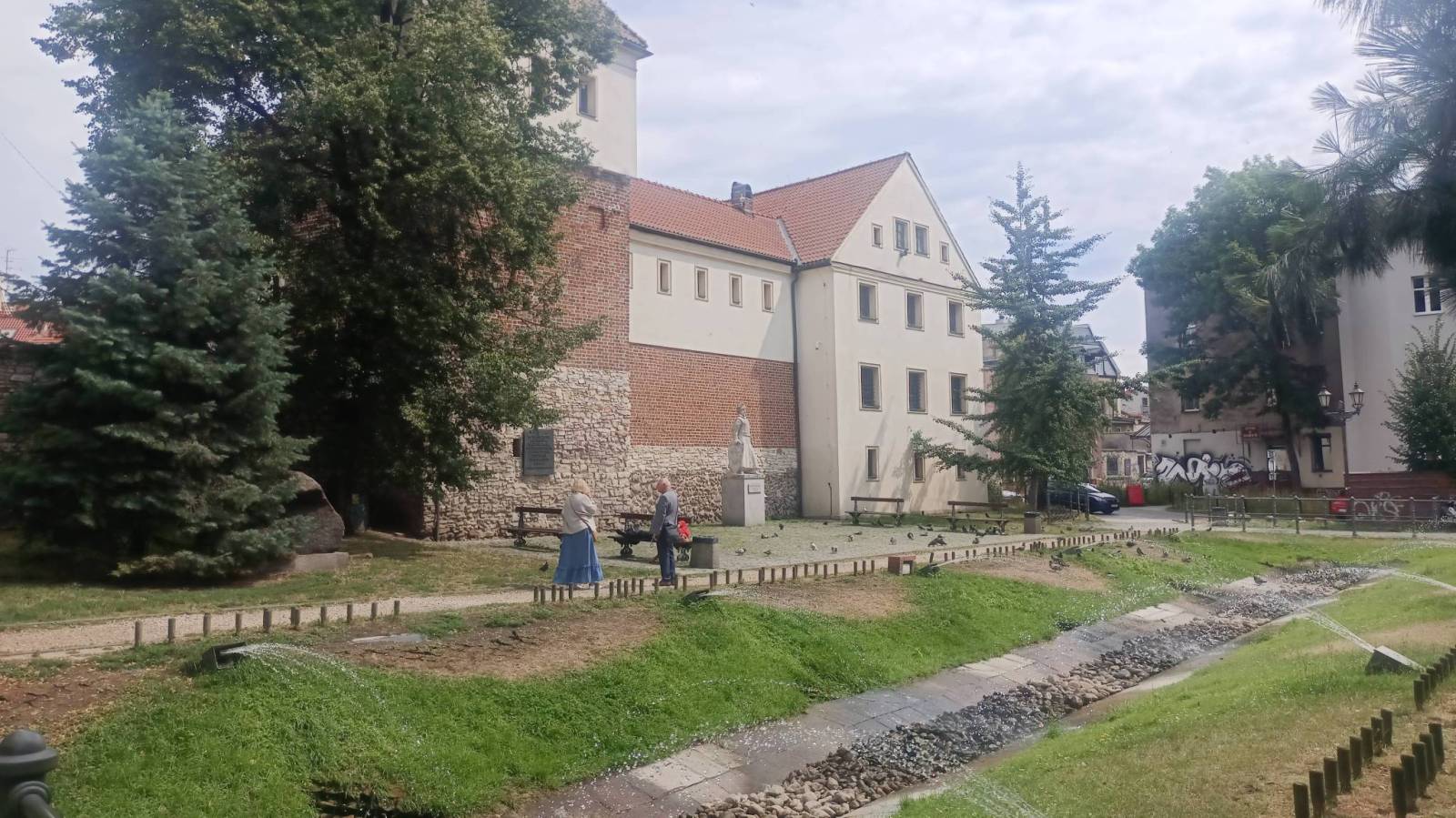 Zdjęcie 6