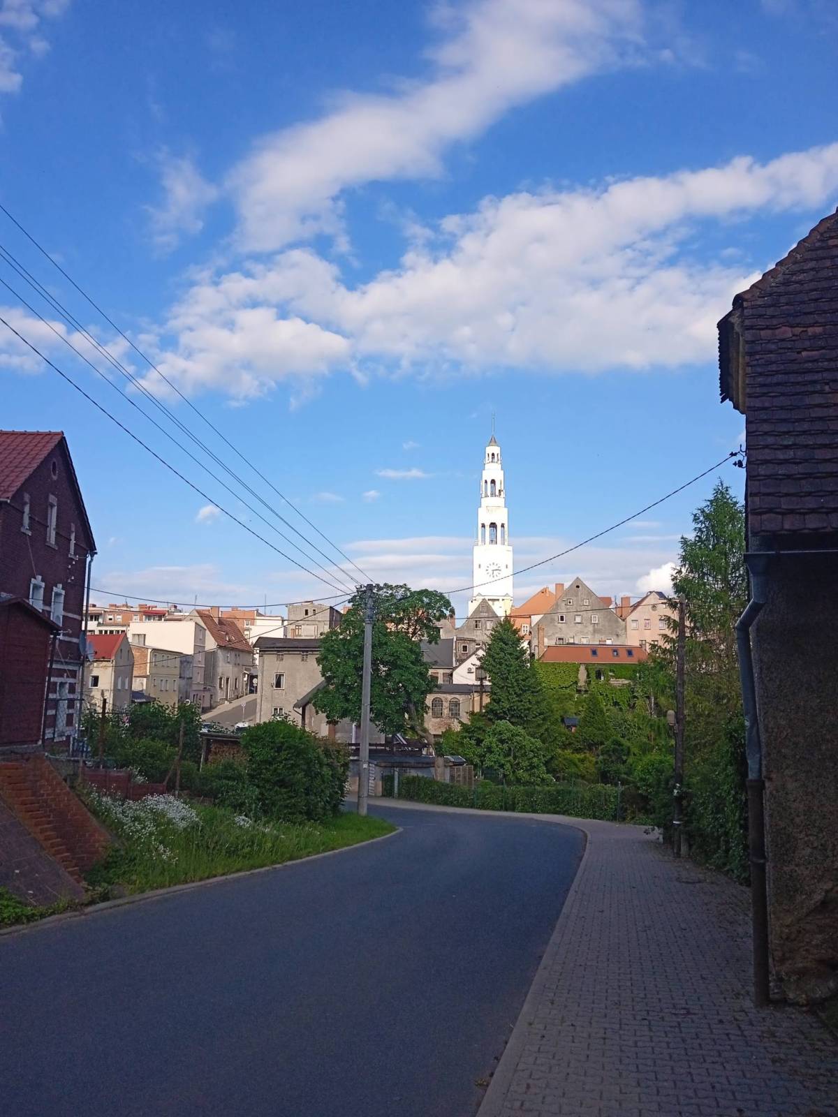 Zdjęcie 5