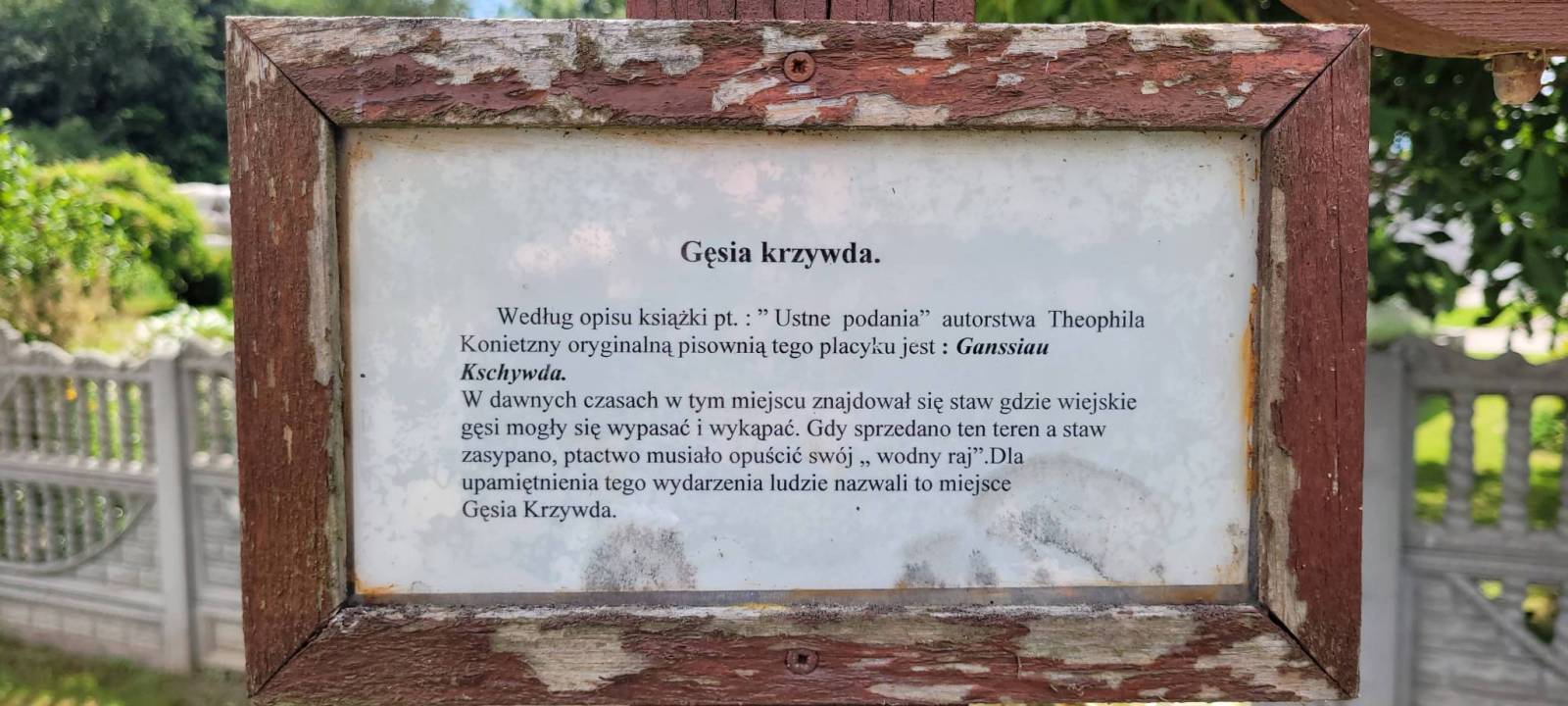 Zdjęcie 5