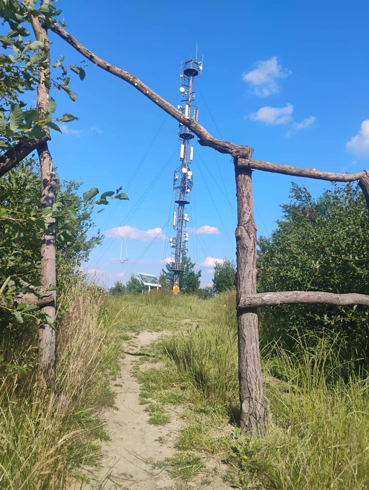 Zdjęcie 6