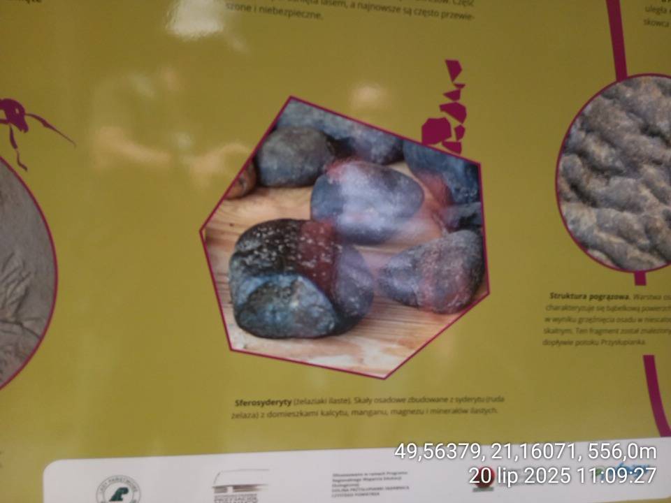 Zdjęcie 6