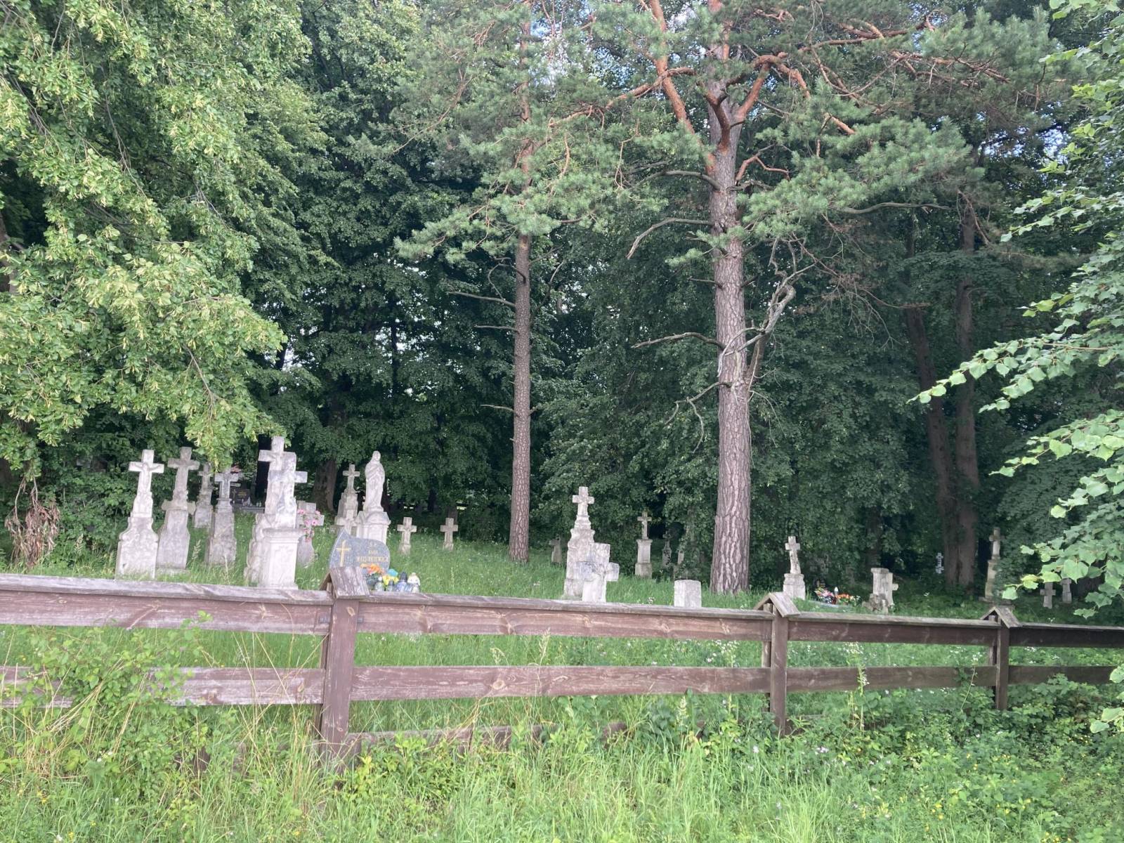 Zdjęcie 5
