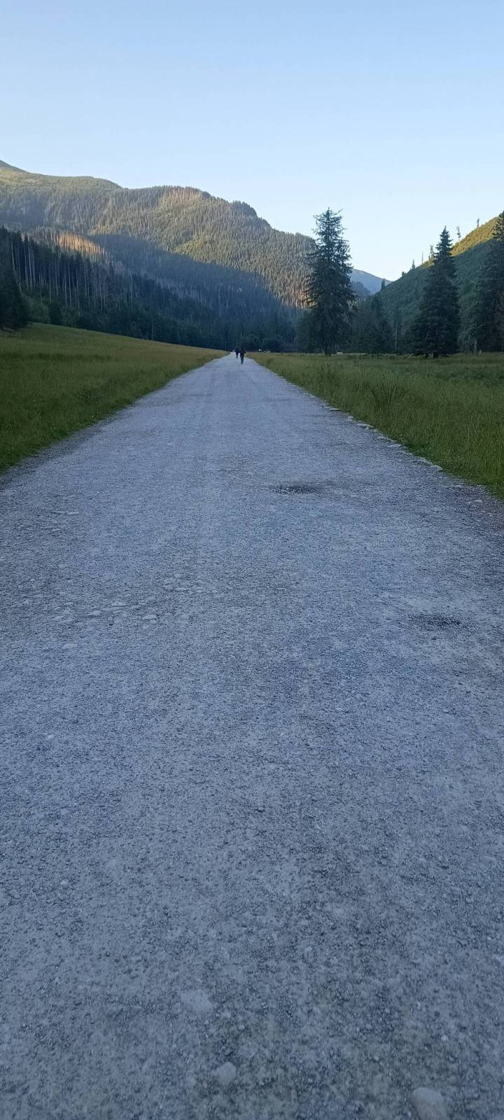 Zdjęcie 2