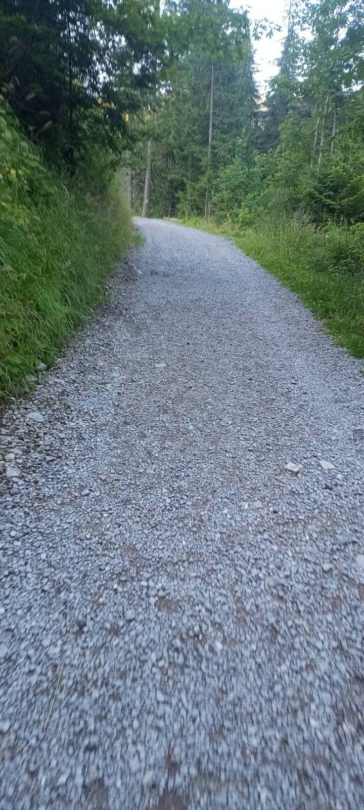 Zdjęcie 3