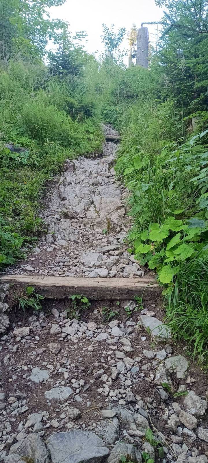 Zdjęcie 6