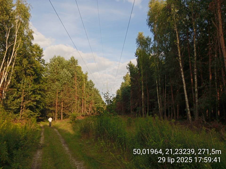 Zdjęcie 3