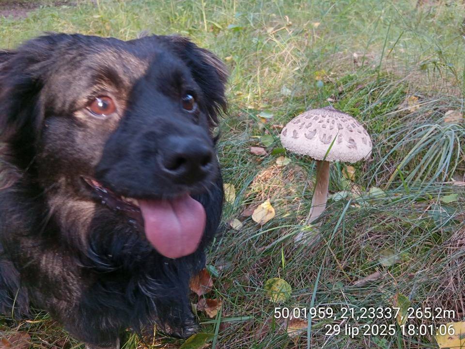 Zdjęcie 3
