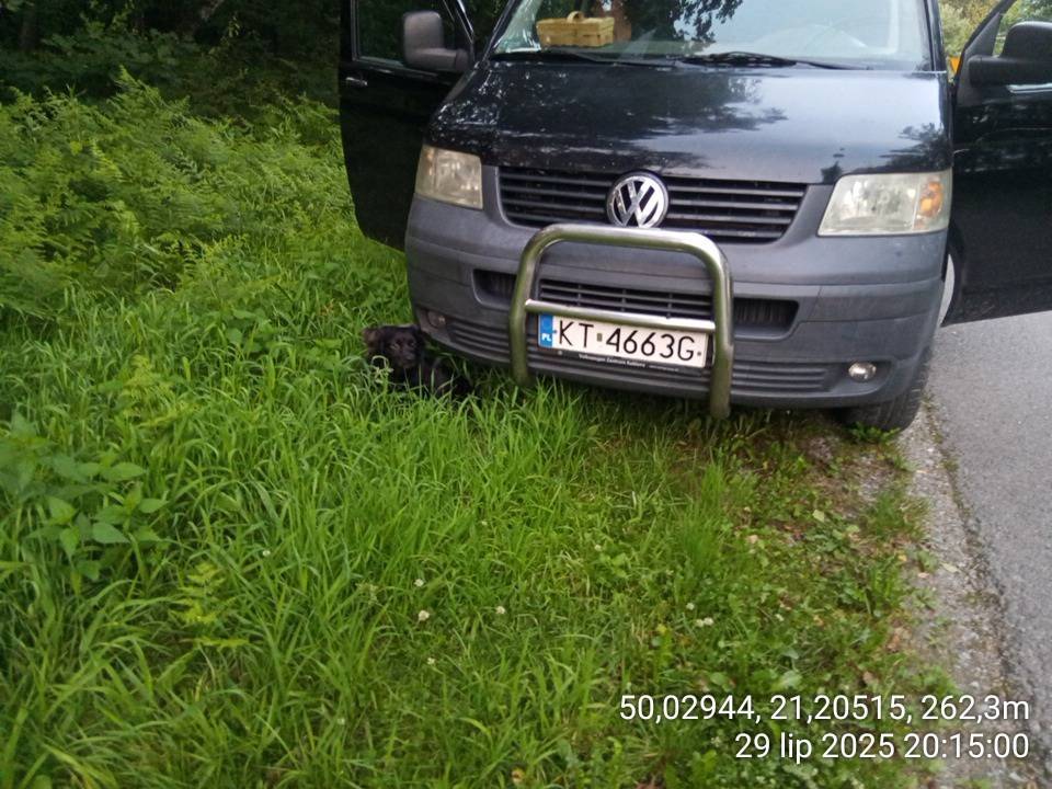 Zdjęcie 6