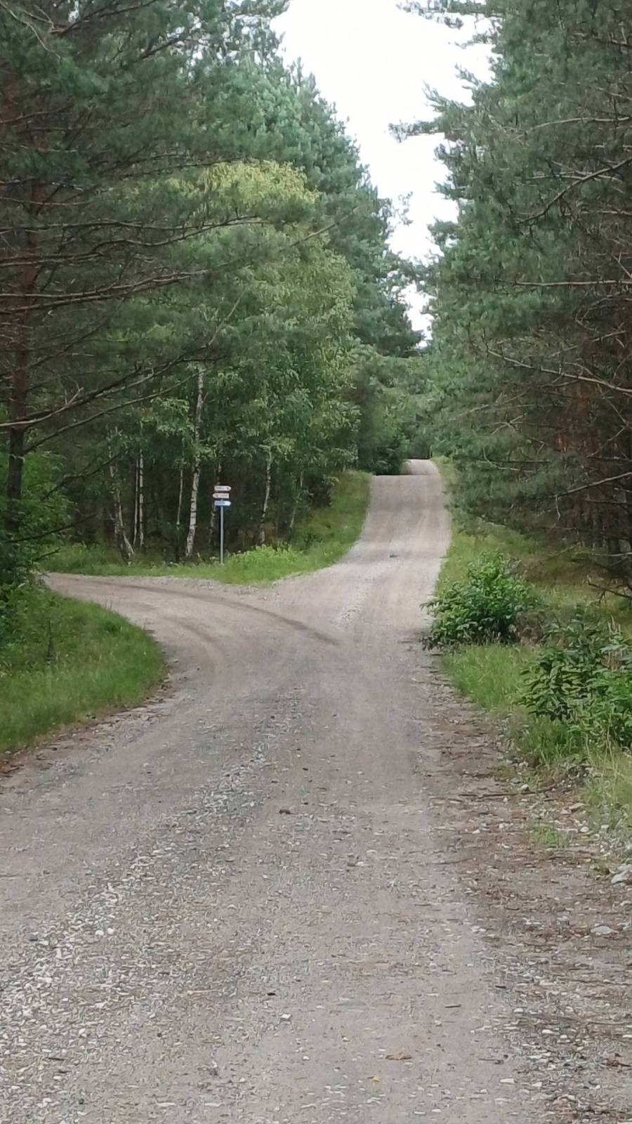 Zdjęcie 3
