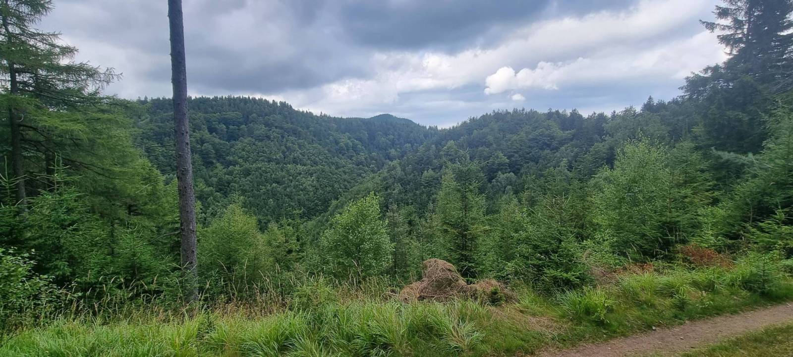 Zdjęcie 4