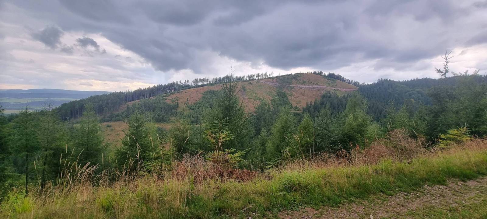 Zdjęcie 5