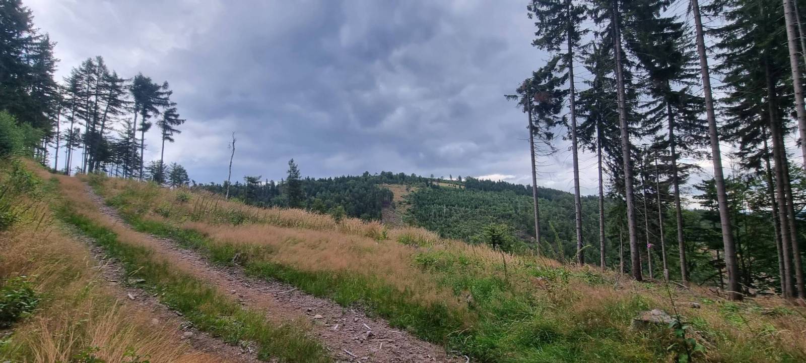 Zdjęcie 6