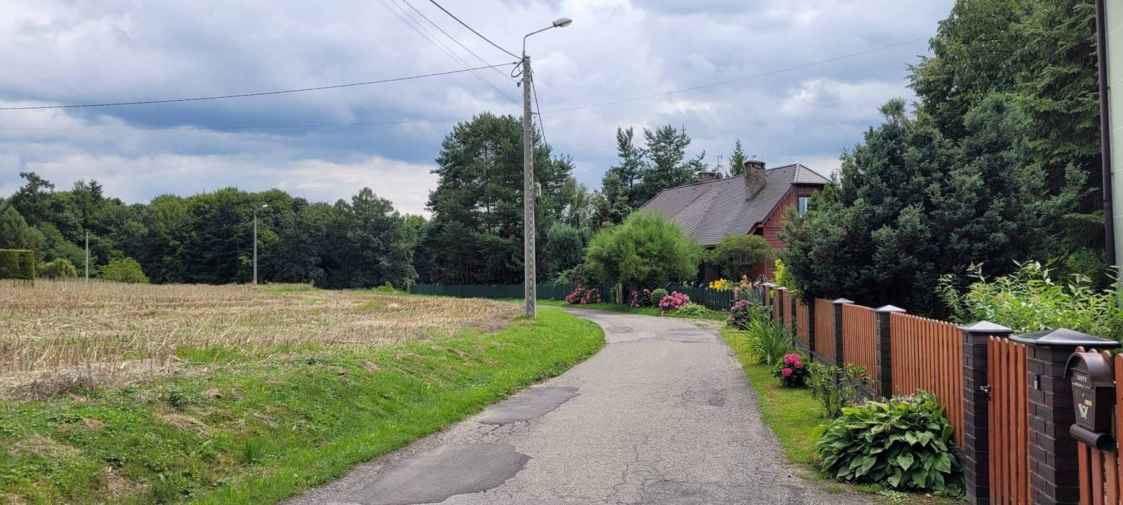Zdjęcie 2