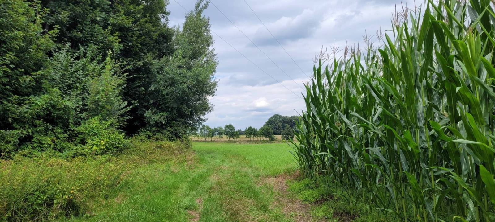 Zdjęcie 4