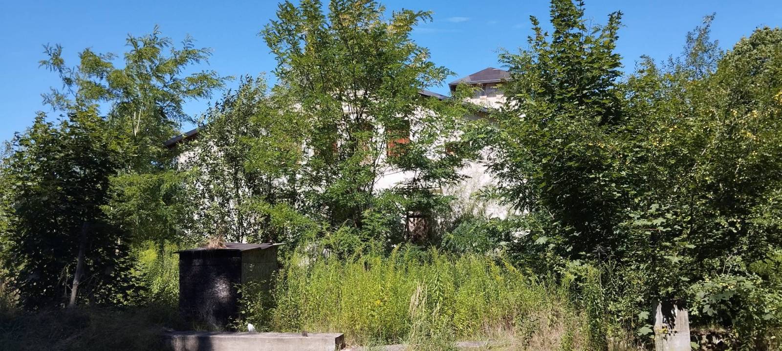 Zdjęcie 5