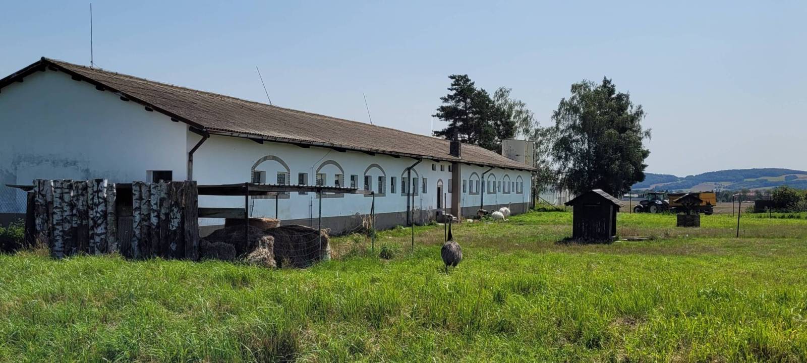 Zdjęcie 3