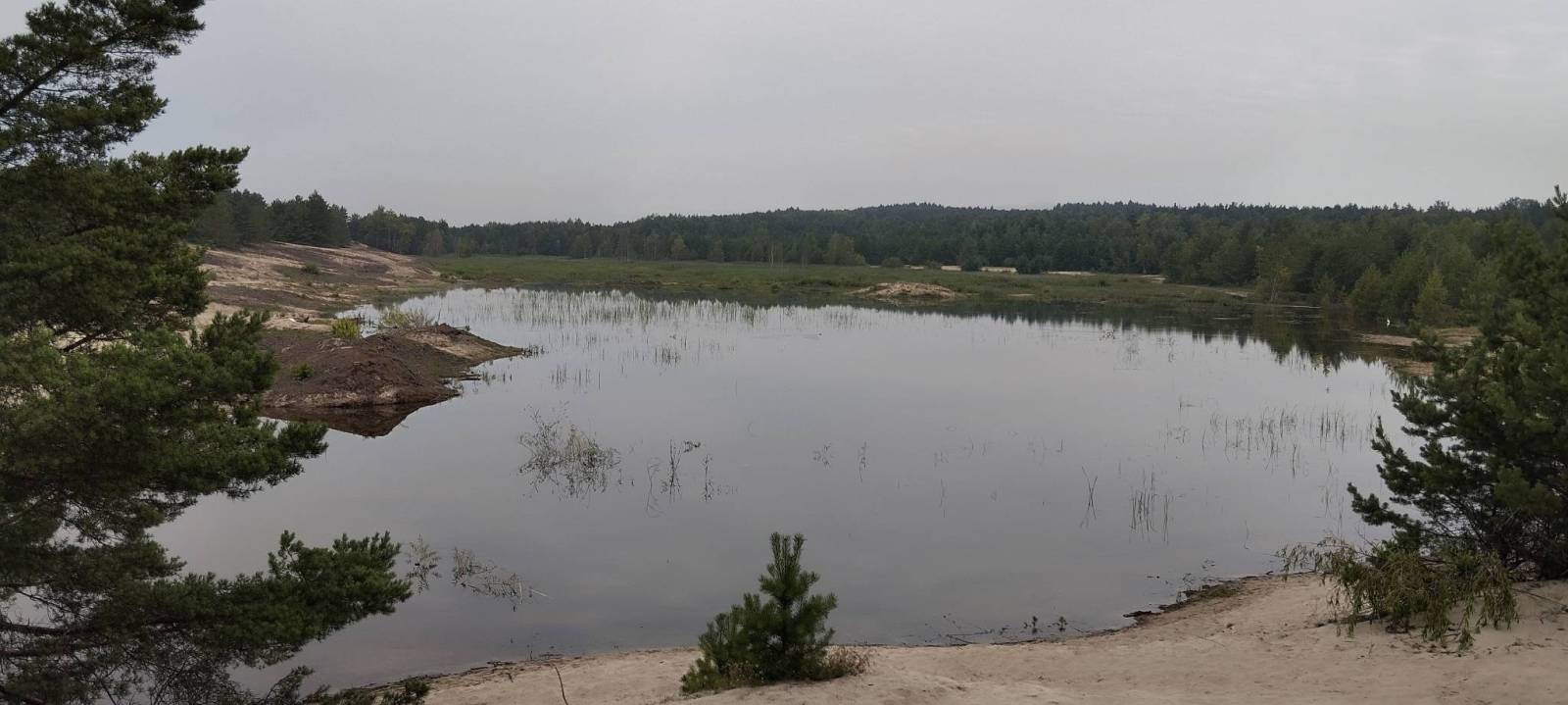 Zdjęcie 4