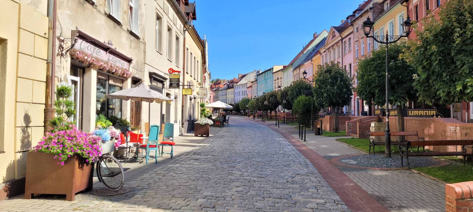 Zdjęcie 5