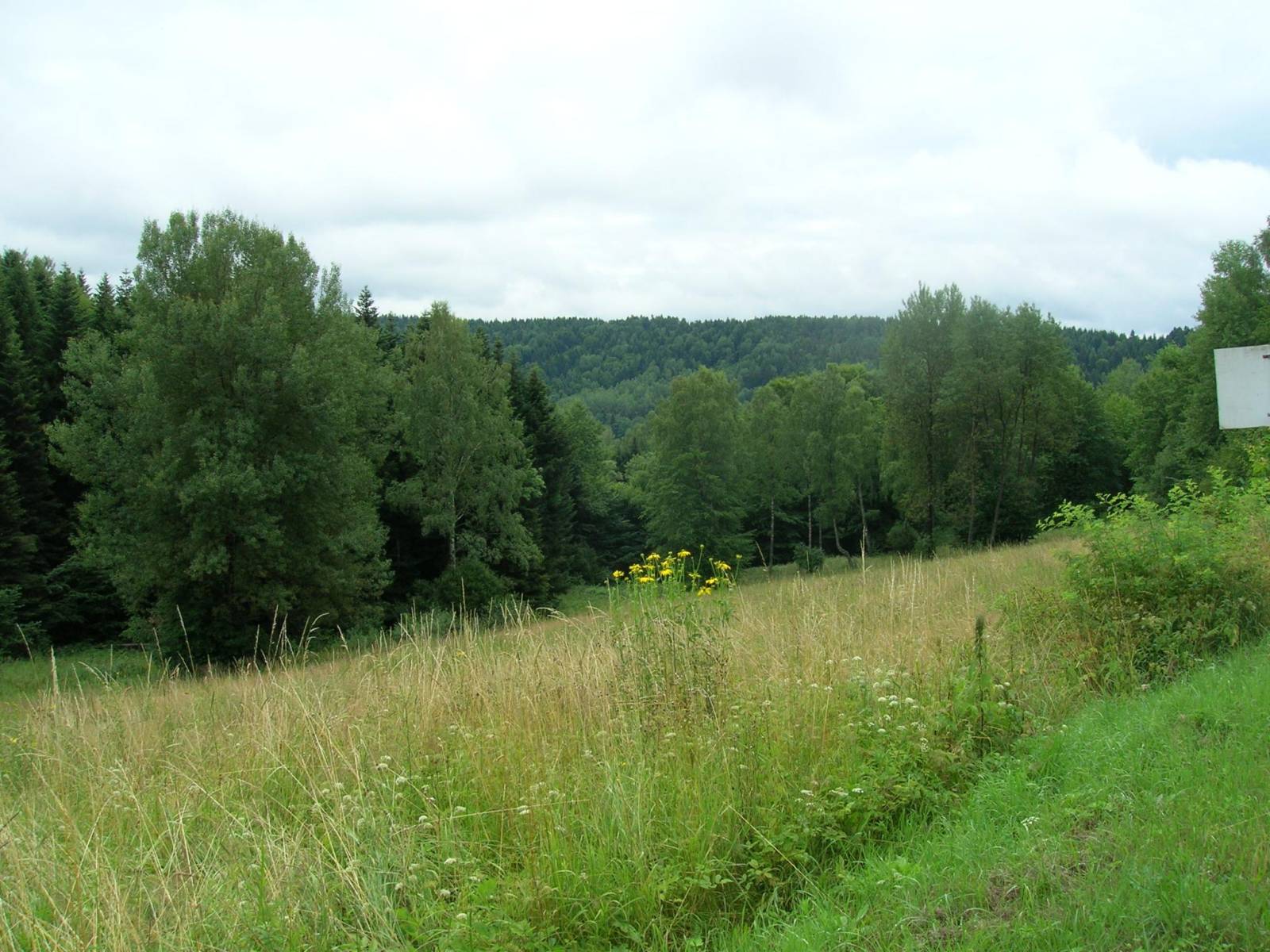 Zdjęcie 5