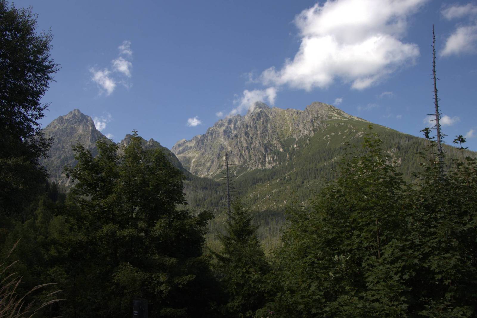 Zdjęcie 3