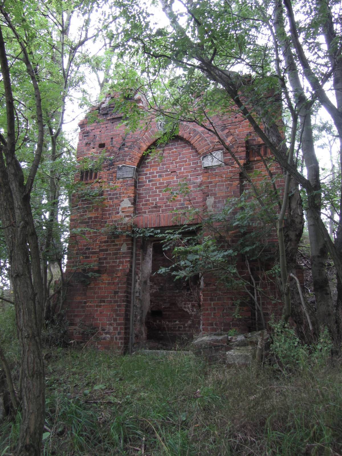 Zdjęcie 3
