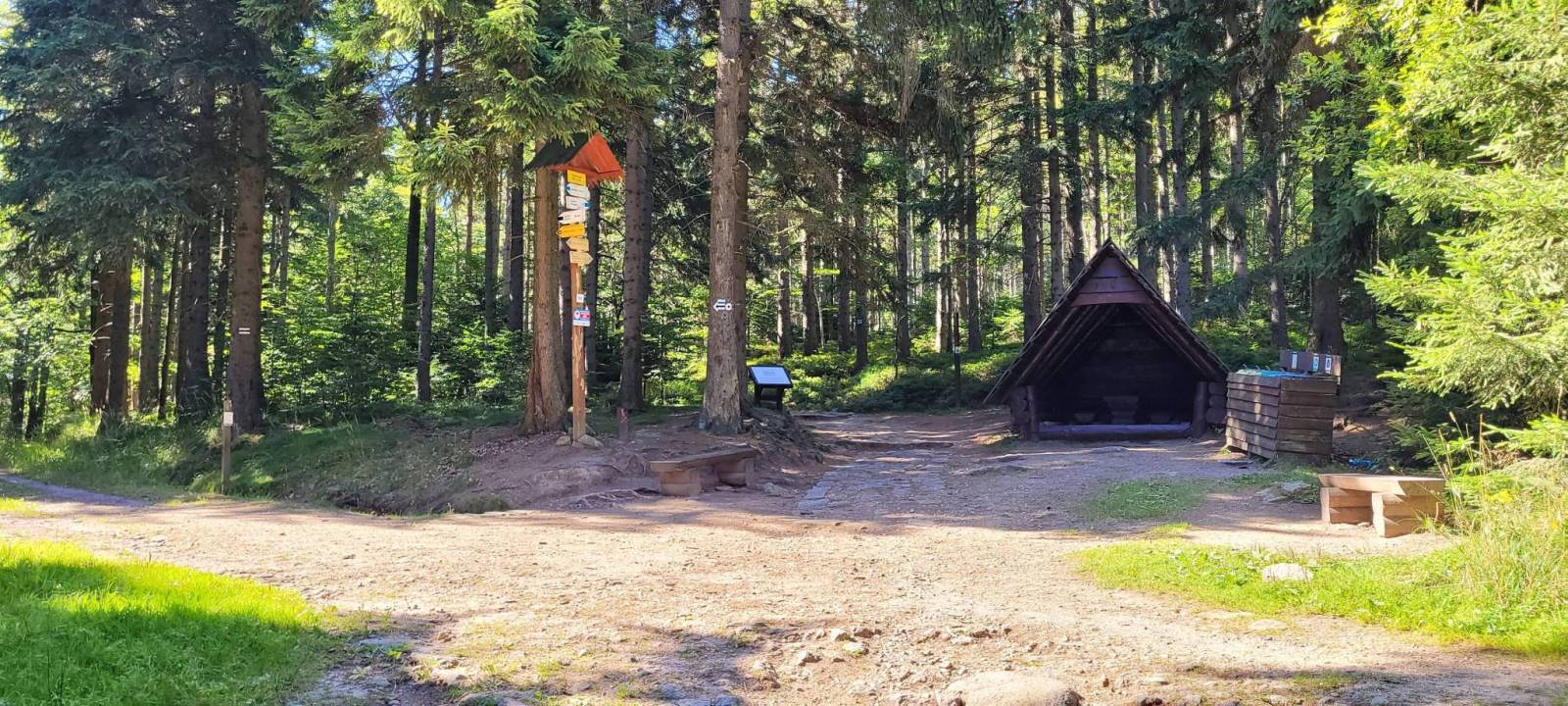 Zdjęcie 6