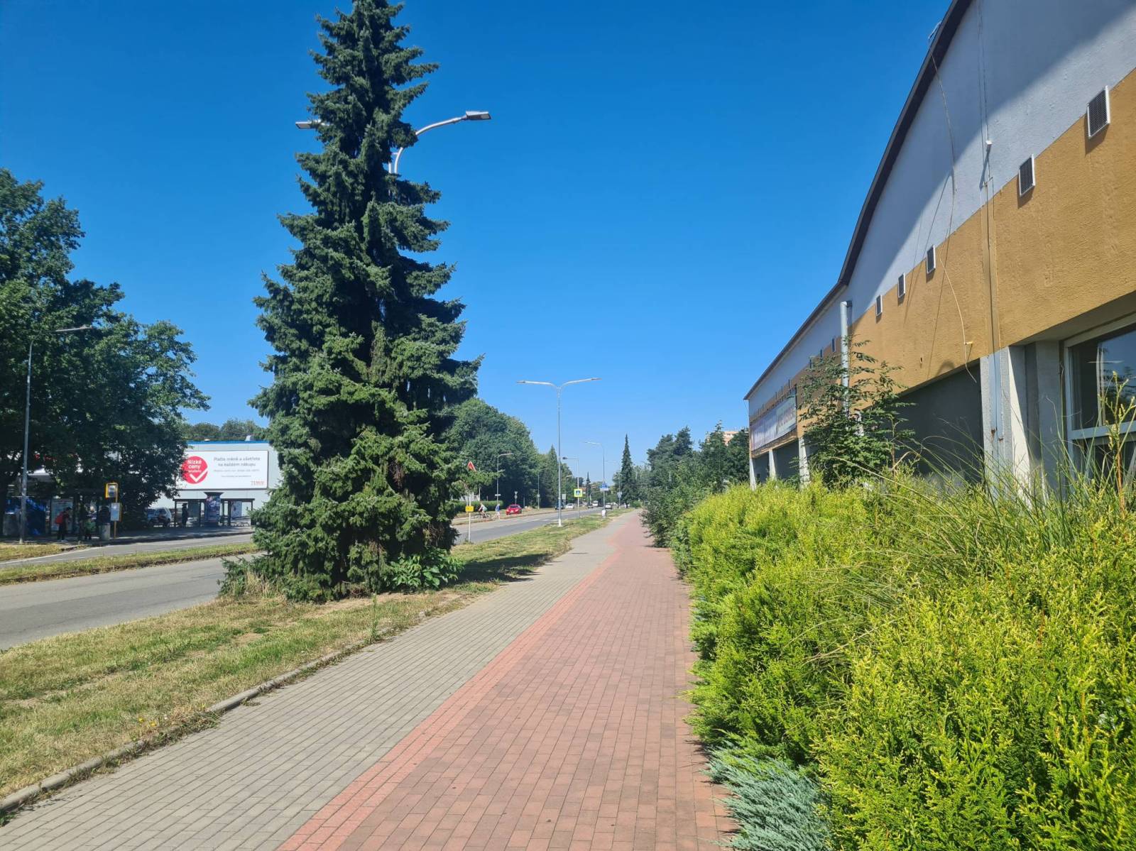 Zdjęcie 6