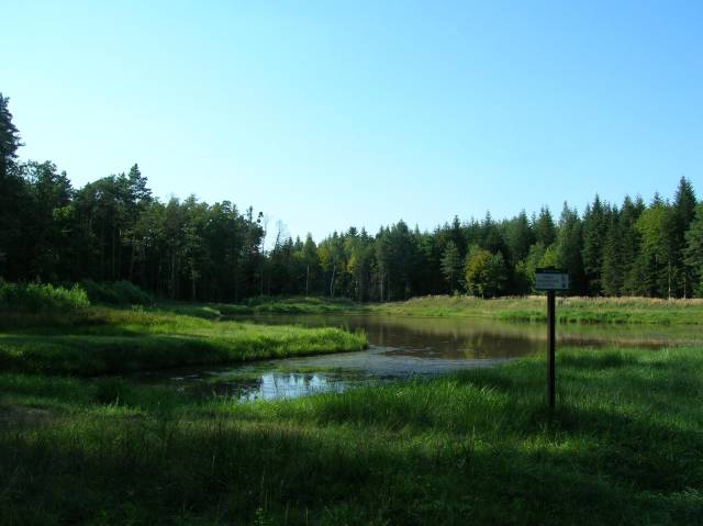 thumb-image