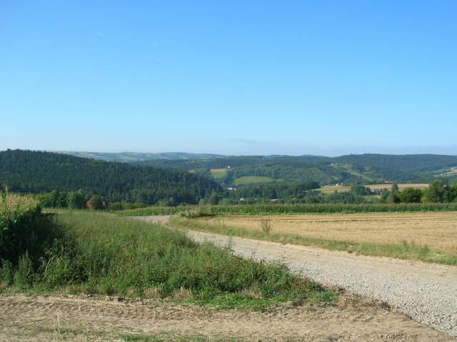 thumb-image