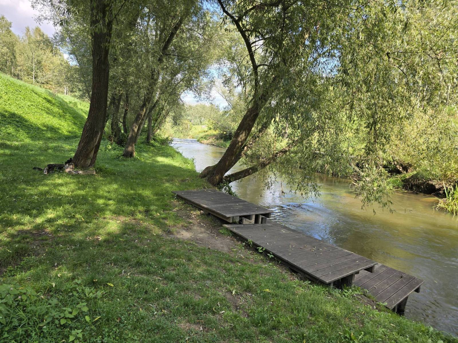 Zdjęcie 5