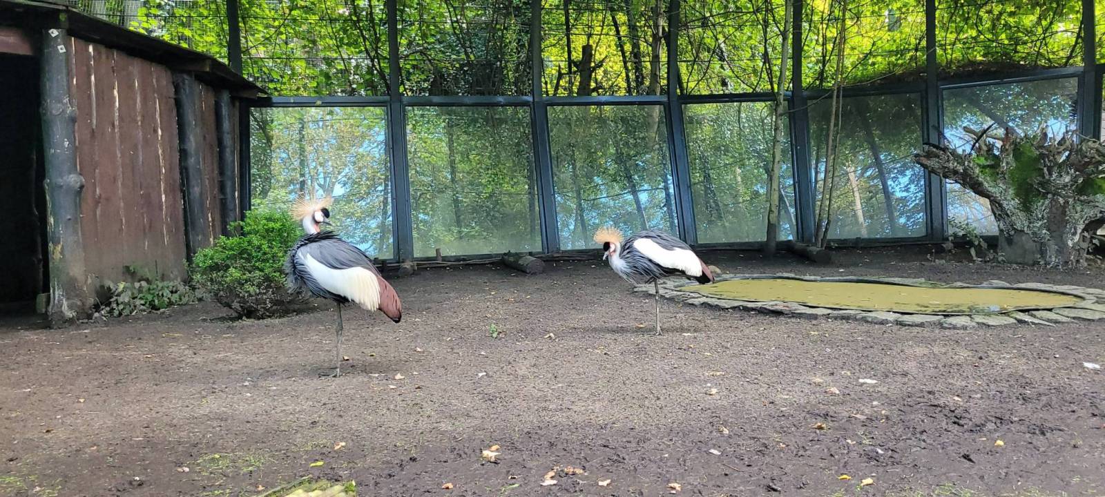 Zdjęcie 3