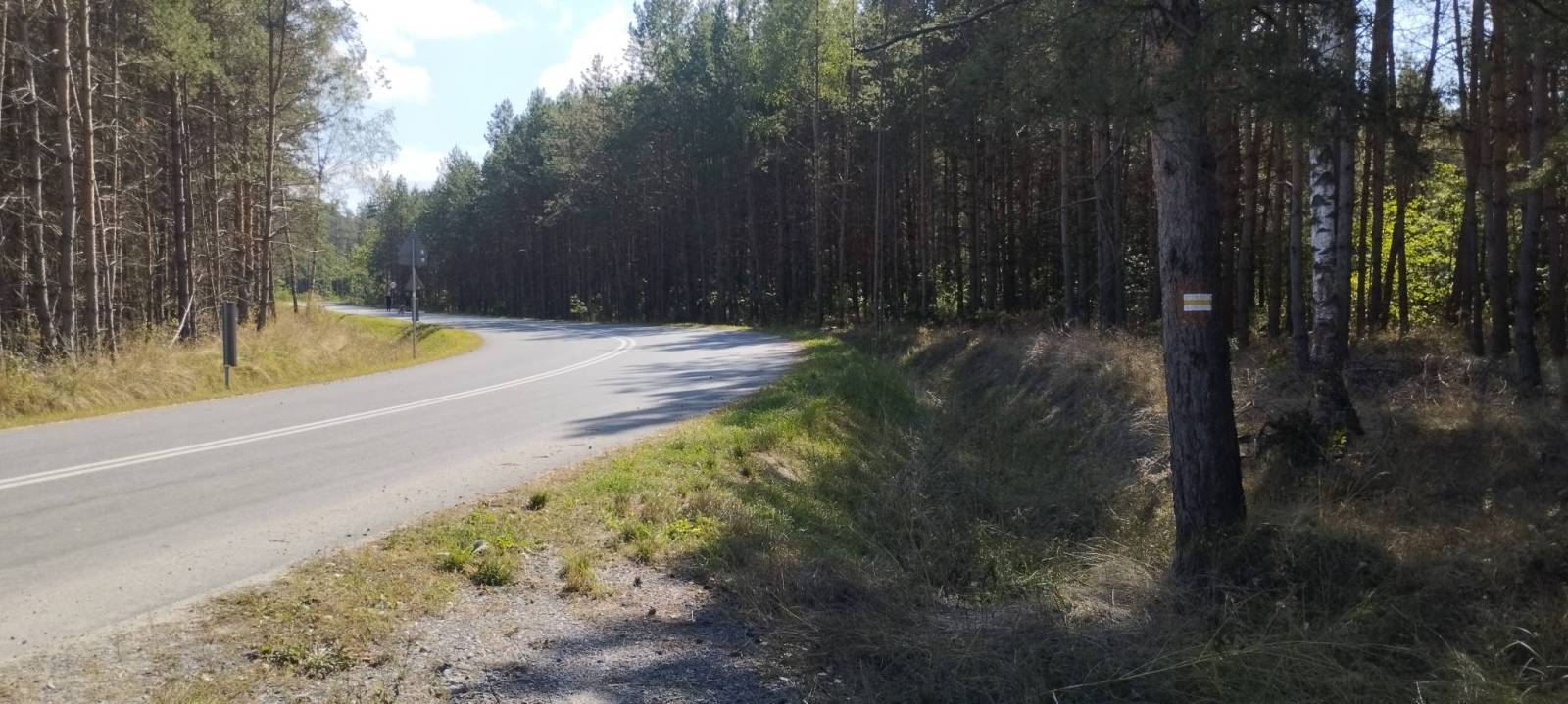Zdjęcie 6