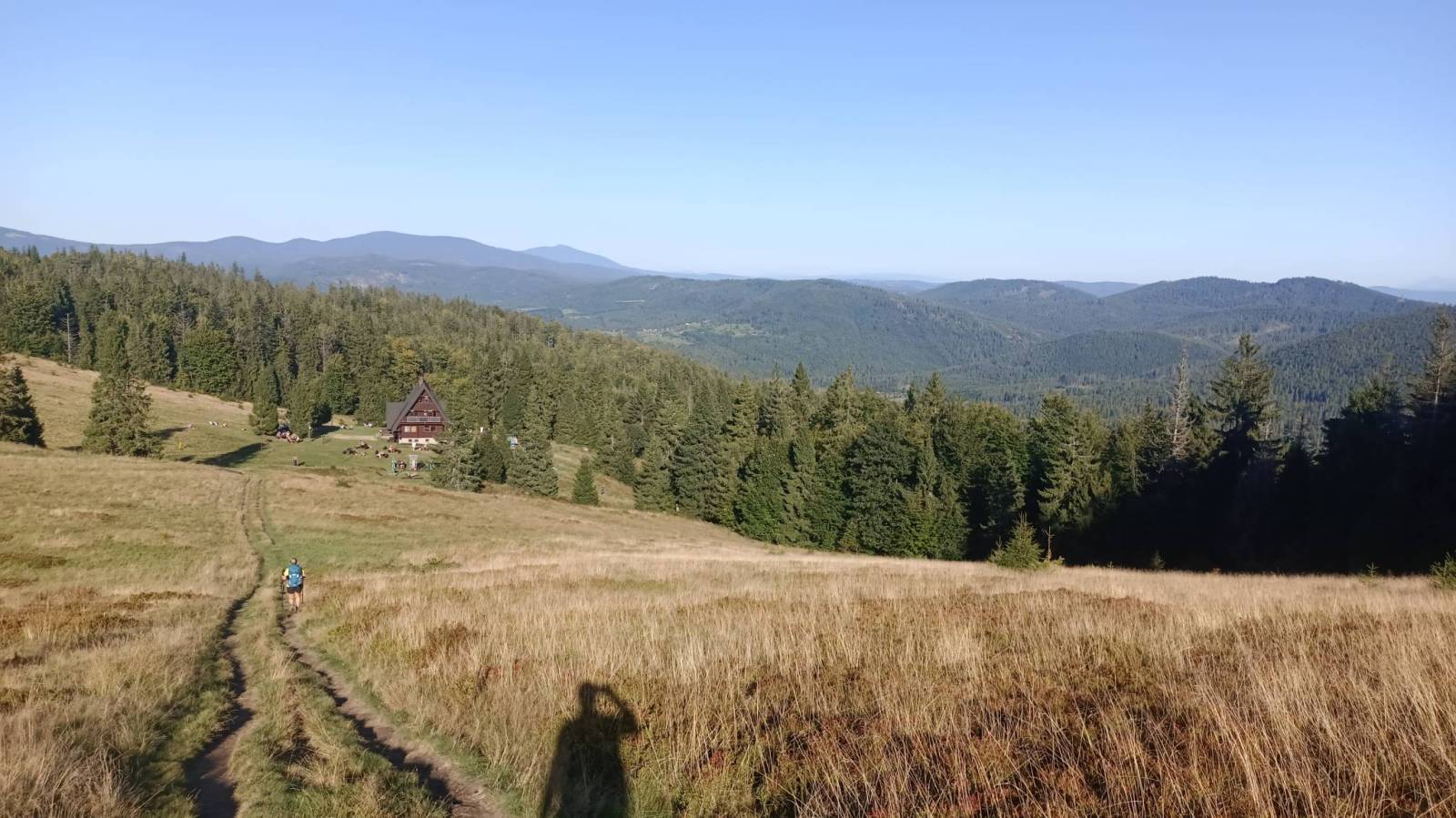 Zdjęcie 3