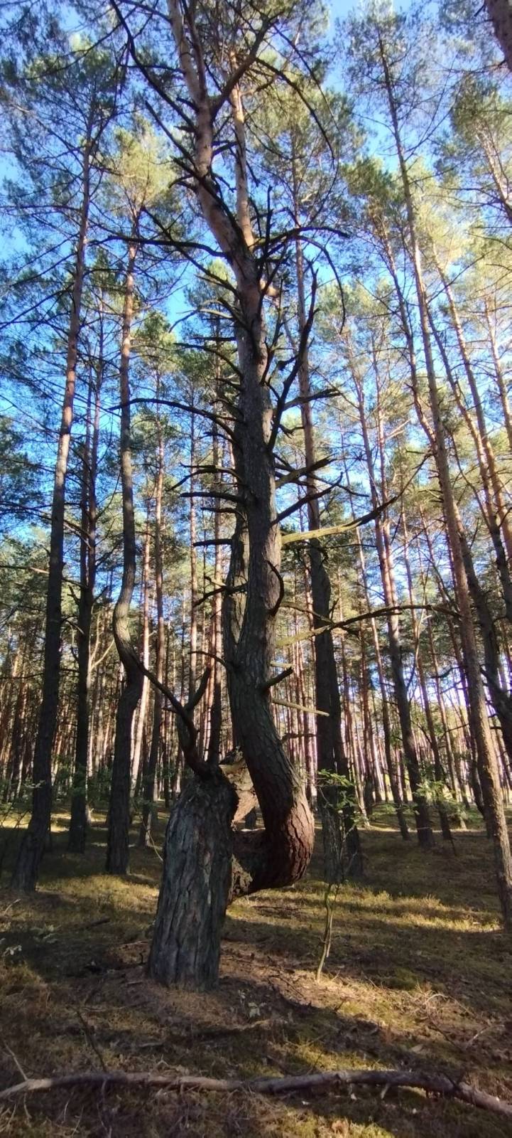 Zdjęcie 2
