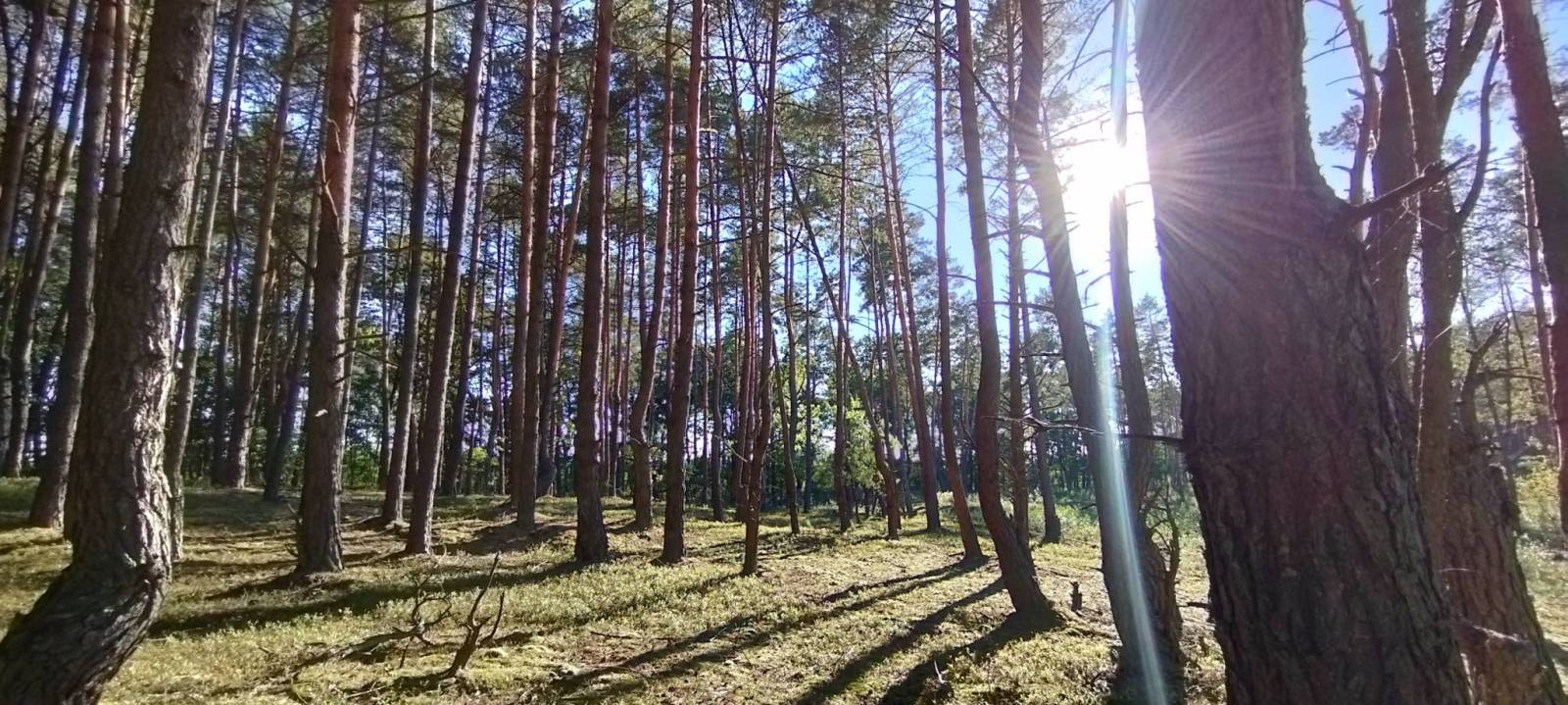 Zdjęcie 3