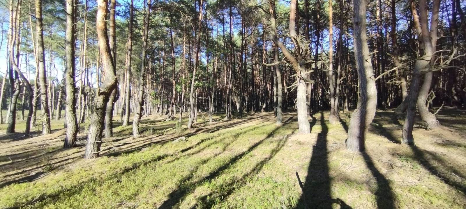 Zdjęcie 3