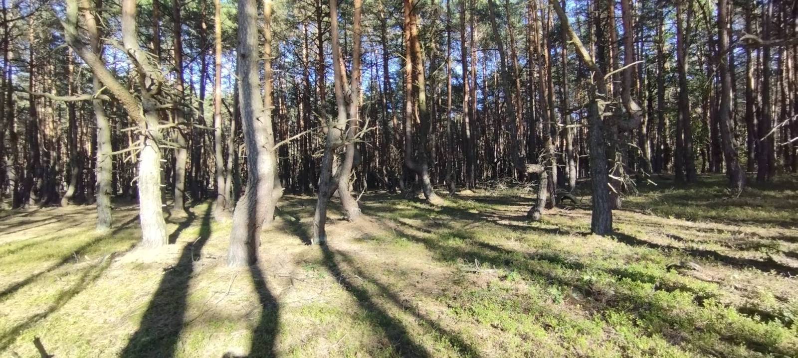 Zdjęcie 6