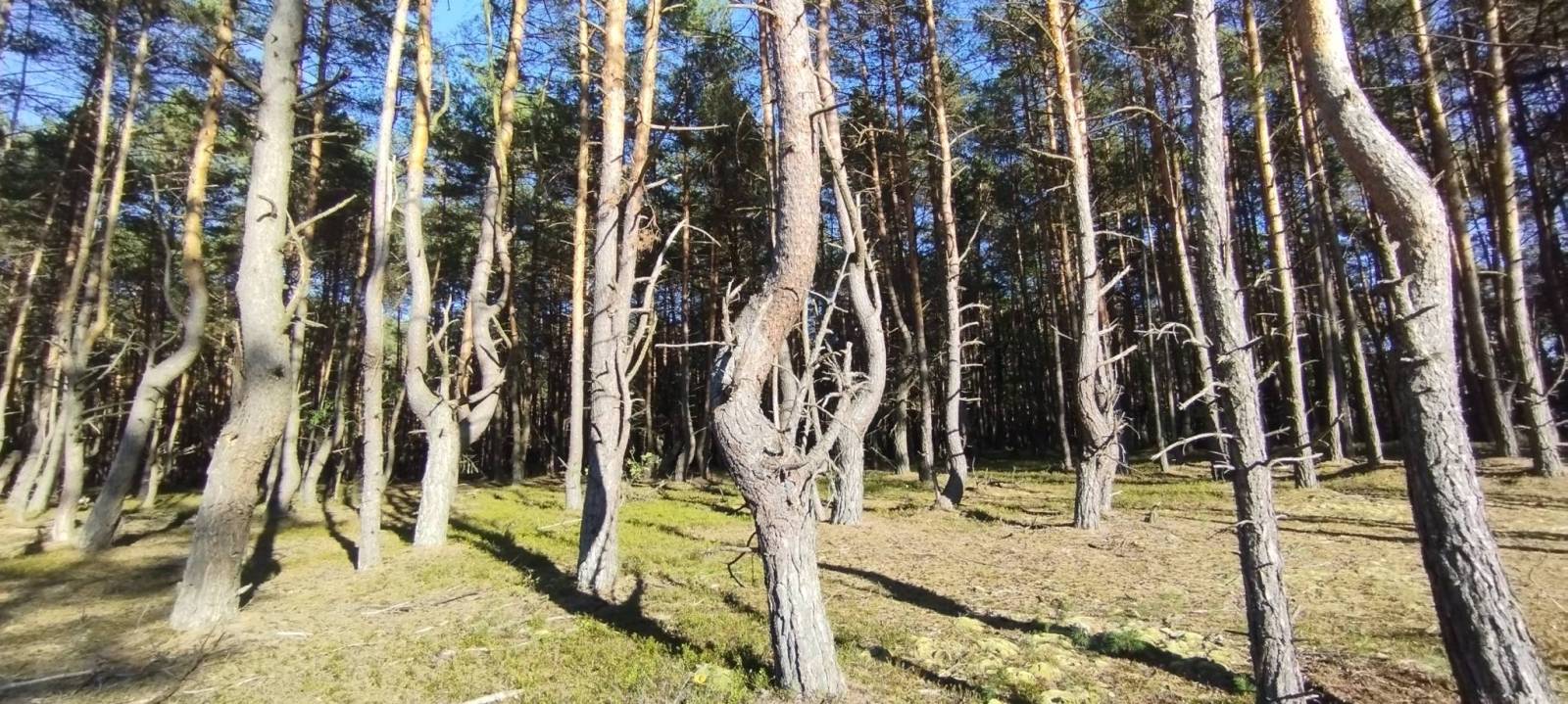 Zdjęcie 6