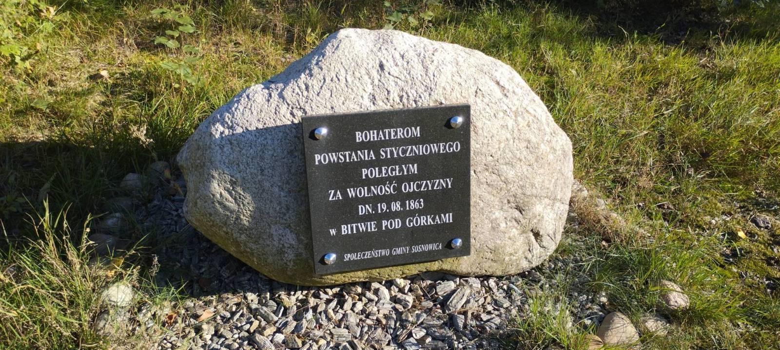 Zdjęcie 5